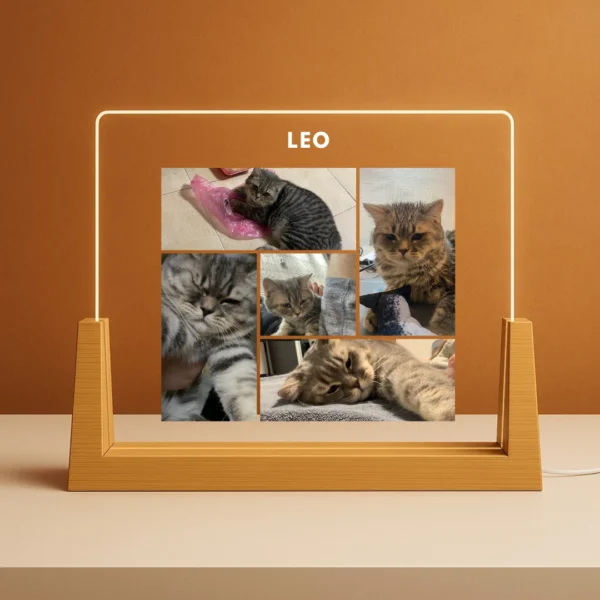 מנורה עם הקדשה/הנצחת כל בעל חיים מעוצבת אישית עם תמונות לרוחב